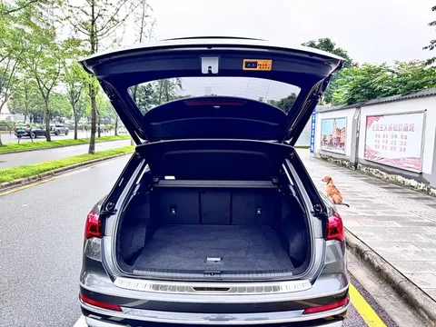 Audi Q3, миниатюра 18
