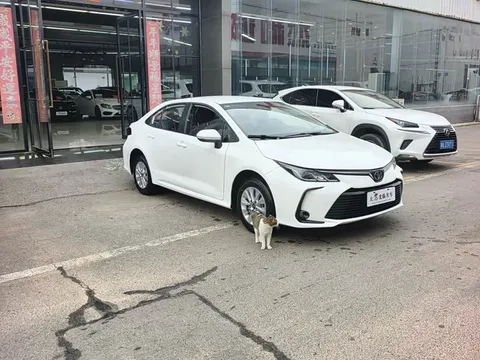 Toyota Corolla, миниатюра 2