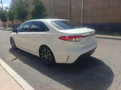 Toyota Levin, миниатюра 4