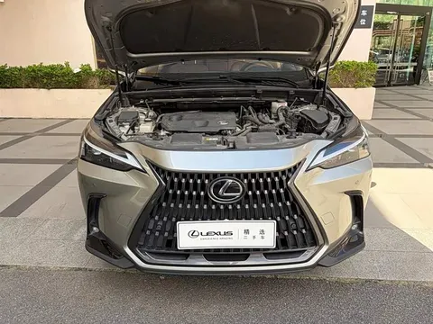 Lexus NX, миниатюра 6