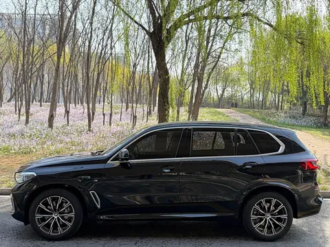 BMW X5, миниатюра 3