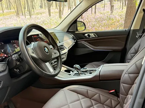 BMW X5, миниатюра 4