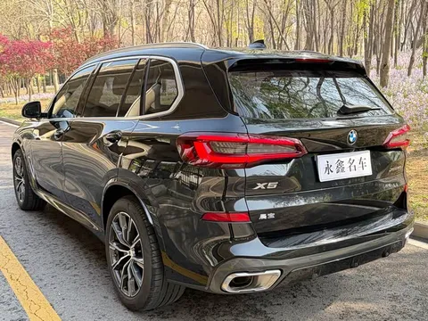 BMW X5, миниатюра 9