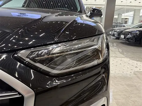 Audi Q5L, миниатюра 12