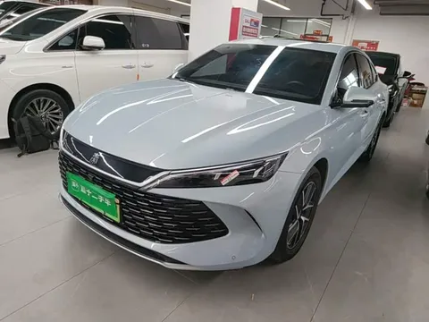 BYD L, фото 1